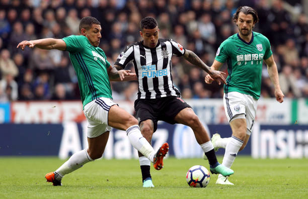 张镇麟的 张镇麟的