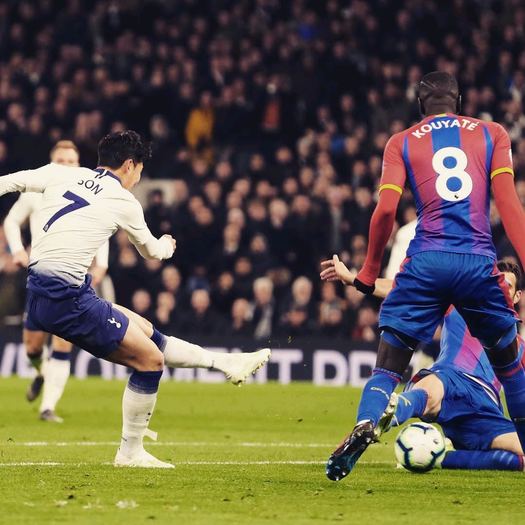 除了波尔津 除了波尔津